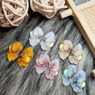 Hoa nửa ôm đá mắt mèo - Hoa bột đính móng HN77