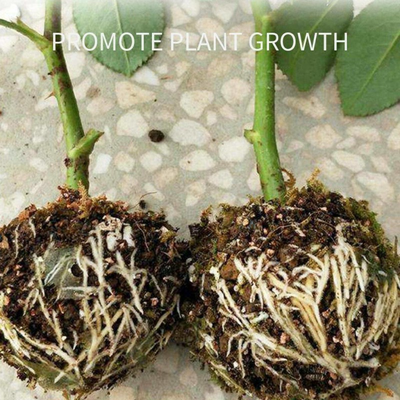 Plant rooting equipment Bóng cao áp ghép cành tạo rễ cho cây trồng tiện dụng high-pressure transmission ball high-pressure box transplantation