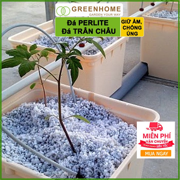 Đá Perlite, bao 2kg, đá trân châu trồng hồng, sen đá, thuỷ canh giàu khoáng chất, tăng độ tơi xốp trong đất |Greenhome