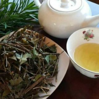 CHÈ VẰNG SẺ HÁI ĐỒI NGHỆ AN