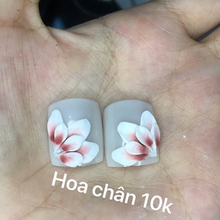 Hoa chân ảnh thật shop chụp