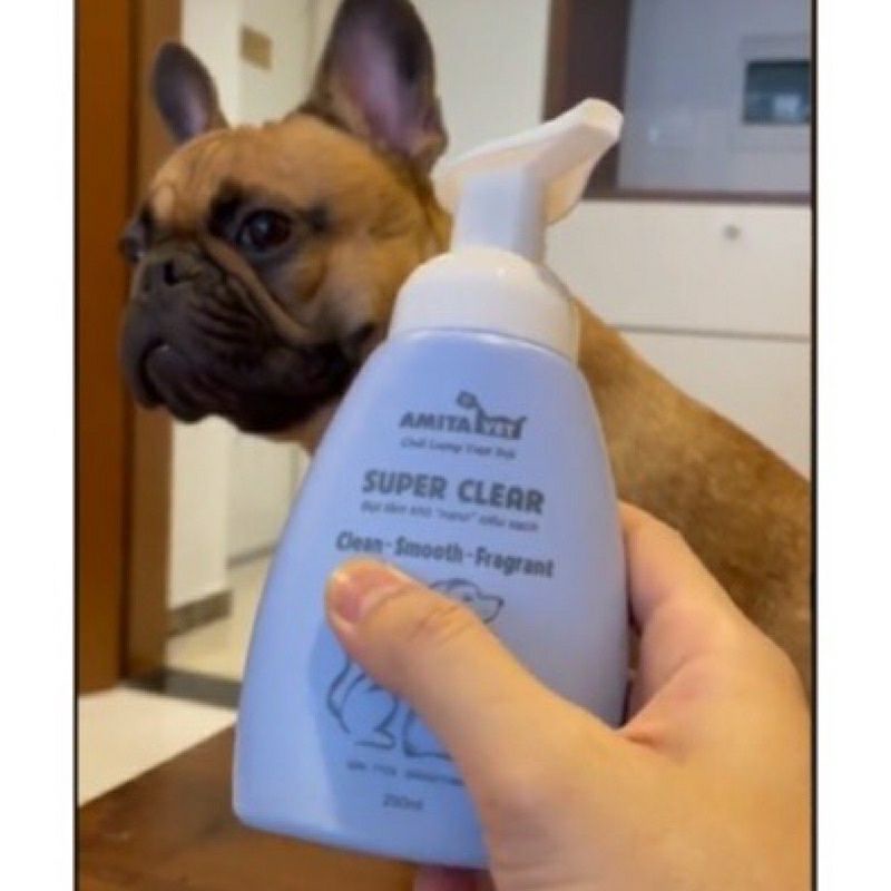 bọ tắm khô super clear amitavet cho chó mèo 250ml