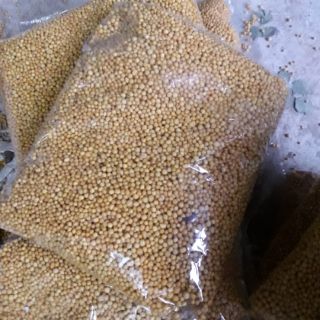 Phân chậm tan 14-14-14 gói 1kg