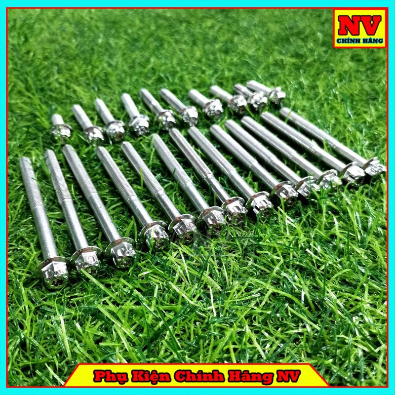 Bộ Ốc Lốc Máy Wave/ Dream Mẫu Salaya Inox 304 (23 Con)