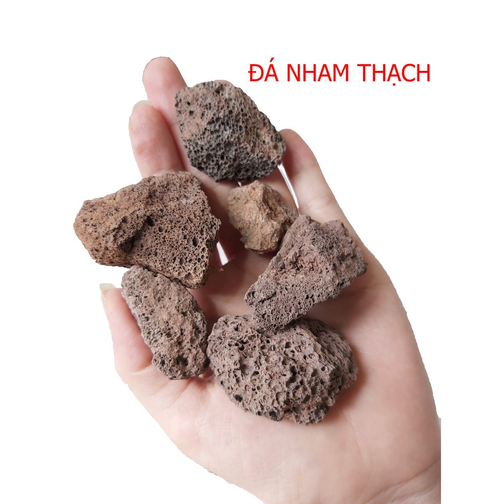 500g Đá NHAM THẠCH vật liệu lọc nước cho hồ cá cảnh