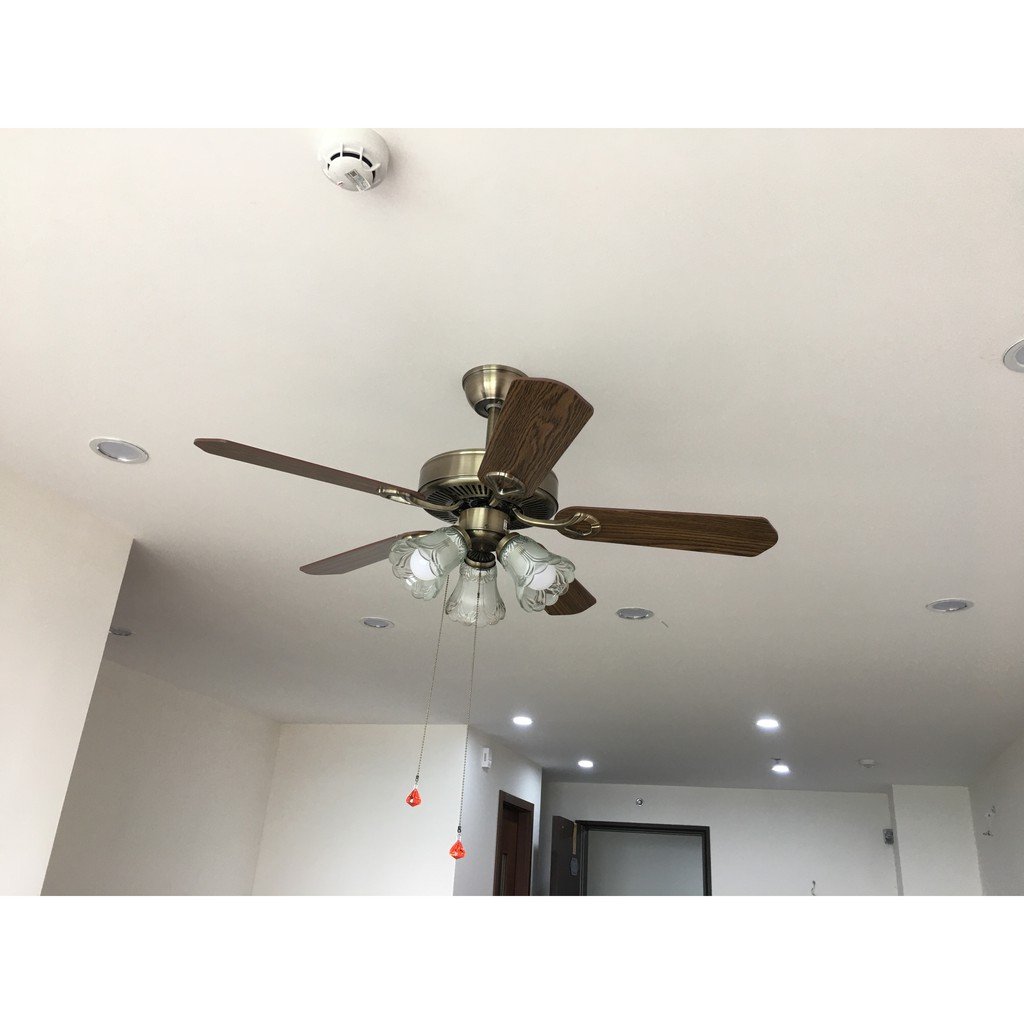 Đèn Quạt trần trang trí_Siêu đẹp_Siêu rẻ_Hàng có sẵn