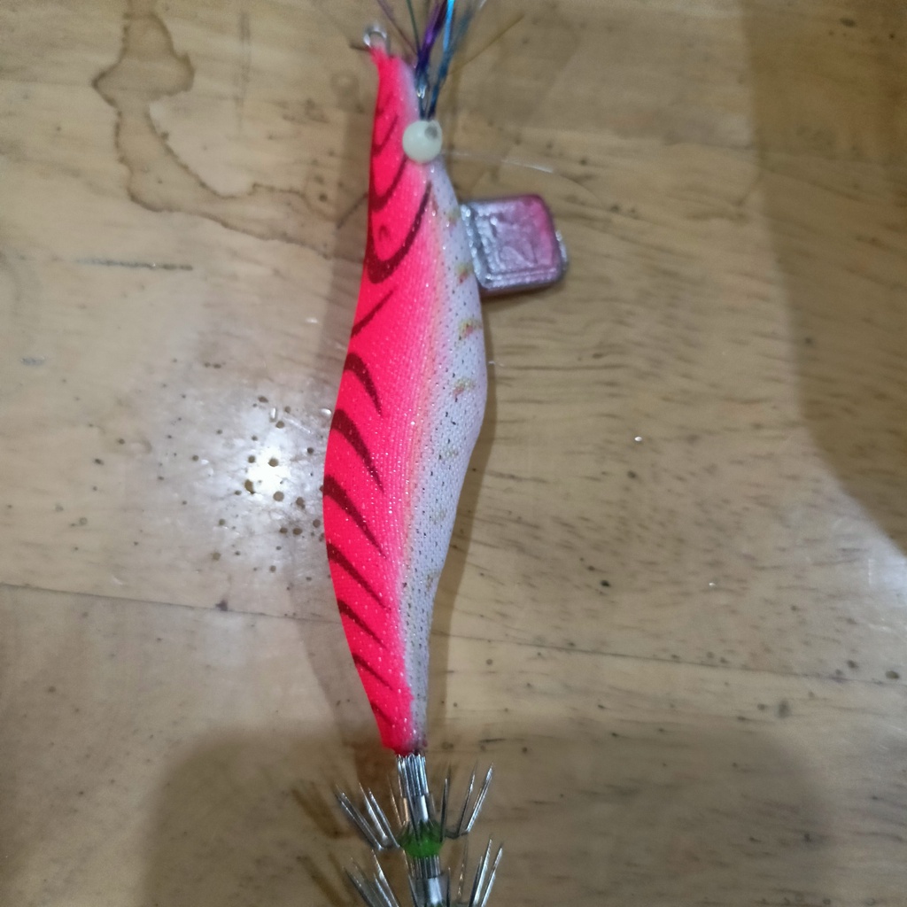 Tôm vải kim tuyến, câu mực