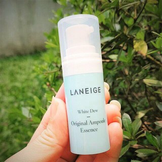 Serum Laneige dưỡng trắng da White dew