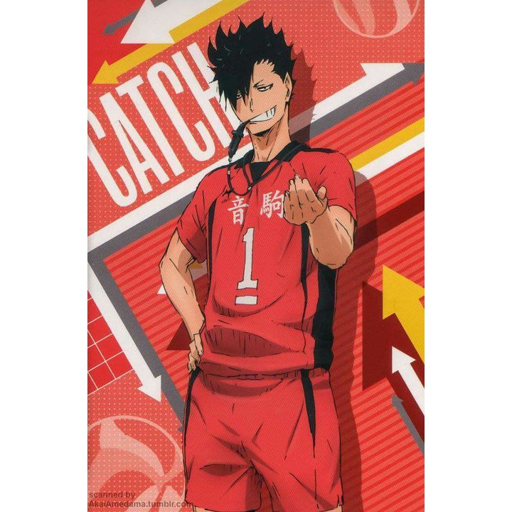 Tấm Poster in hình HAIKYUU!! VUA BÓNG CHUYỀN nhiều mẫu cao cấp giấy 260gsm anime chibi