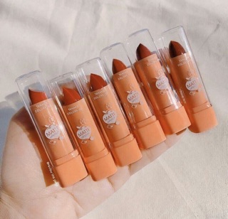 Set 6 thỏi son sáp Đào nội địa Thái