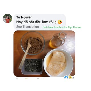 Scoby - nấm thủy sâm, làm dấm trà Kombucha