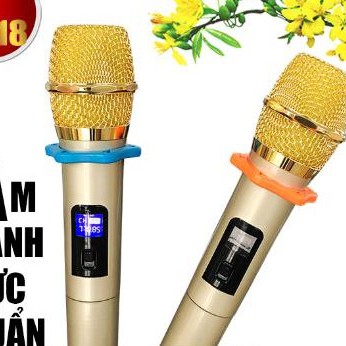 Bộ 2 Micro Karaoke aiwa Không Dây Đa Năng Cho Loa Kéo led xanh