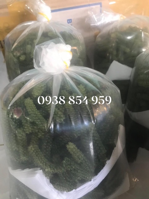 RONG NHO BIỂN TƯƠI (170,000đ/kg) (Lưu ý vận chuyển: Khách HCM chọn “Hoả Tốc”;Tỉnh Chọn “GHN/GHTK”) | BigBuy360 - bigbuy360.vn