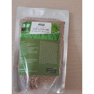 [BUÔN SỈ] 5kg hạt giống cỏ lúa mì ITALY nảy mầm đều khỏe