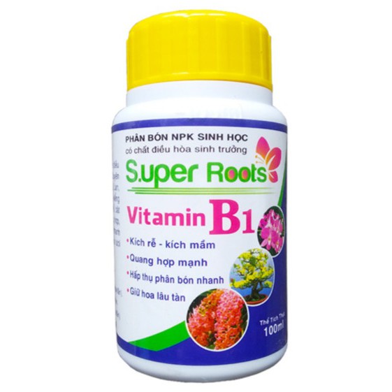 Phân Bón Lá Super Root B1 Kích Rễ 100ml - Kích Mầm - Giữ Hoa Lâu Tàn Cho Phong Lan, Hoa Hồng, Hoa Kiểng các loại