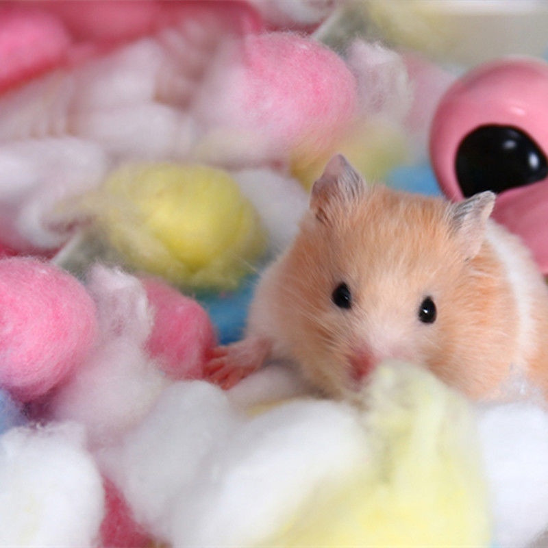 Nhà banh Cotton giữ ấm cho chuột Hamster