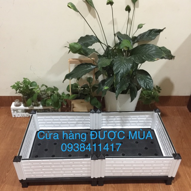 Chậu lắp ghép trồng rau thông minh- 80x40x22cm