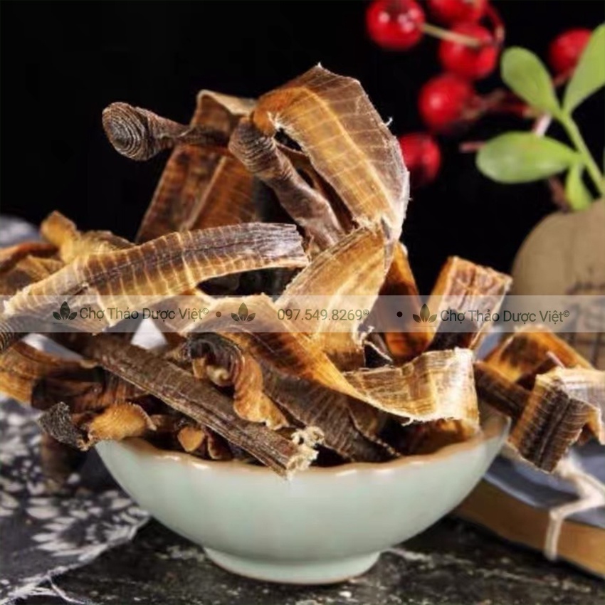 500g Địa long khô, to, sạch, không lẫn tạp chất - Chợ Thảo Dược Việt