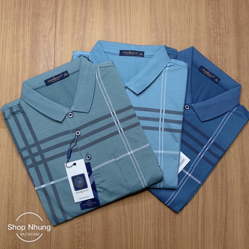 áo phông nam trung niên ngắn tay có cổ | BigBuy360 - bigbuy360.vn