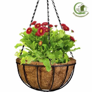 Chậu treo trồng cây xơ dừa khung sắt 25cm - giao kiểu ngẫu nhiên