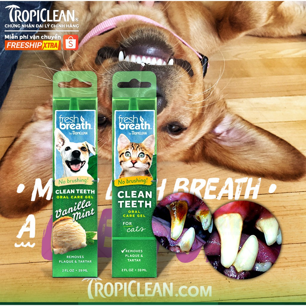 Gel Vệ Sinh Răng Miệng Chó Mèo TropiClean Fresh Breath - Chai lớn 59ml (Nhập khẩu Mỹ)