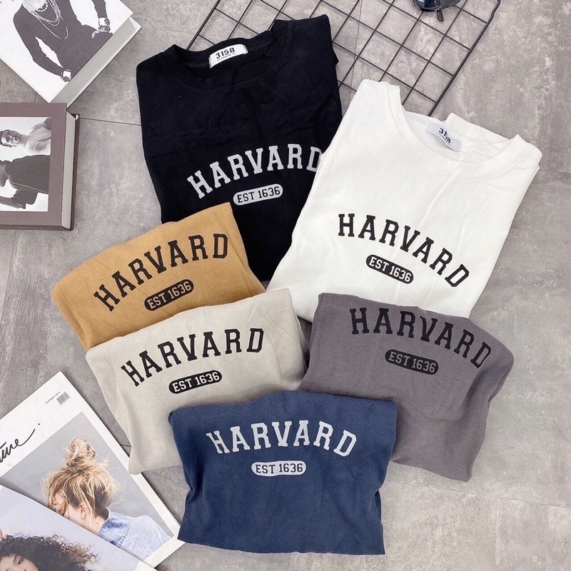 Áo phông HARVARD ( ib chọn màu )