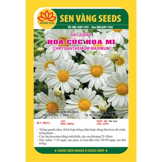 Hạt giống Hoa Cúc Hoạ Mi dễ trồng