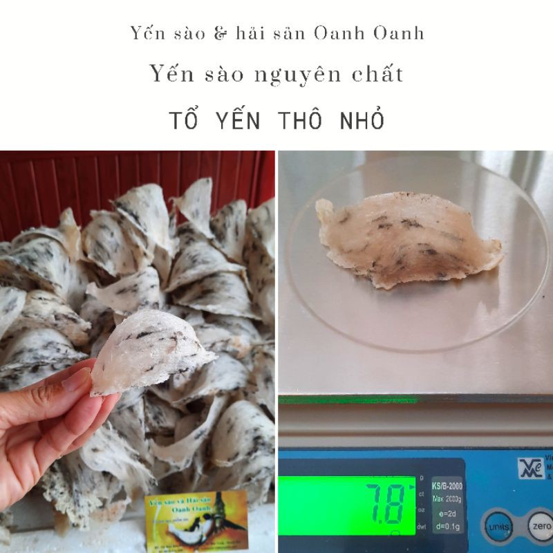 50gr Yến thô tổ nhỏ nguyên chất Nha Trang - Khánh Hòa tặng kèm Nhíp và đồ chưng