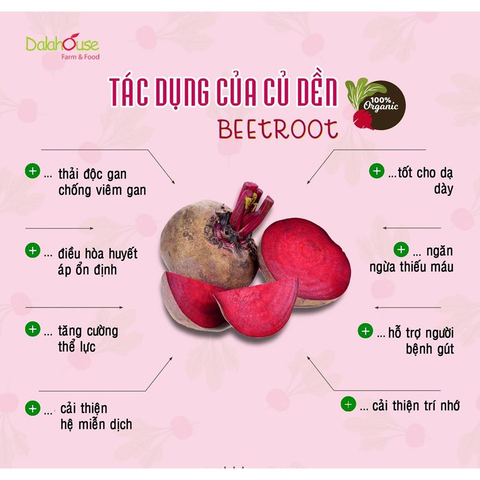 Bột củ dền nguyên chất Dalahouse