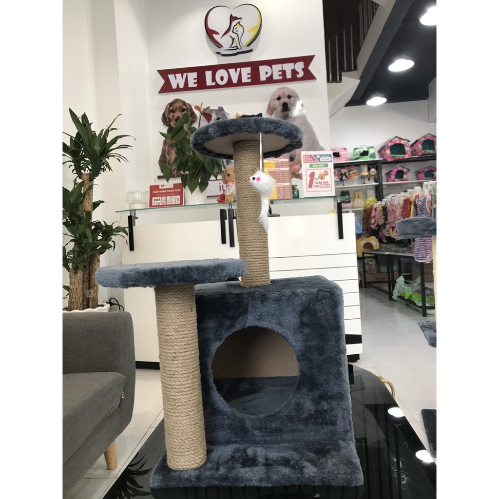Cattree Nhà cây 2 tầng cho mèo (Ảnh tự chụp tại shop)