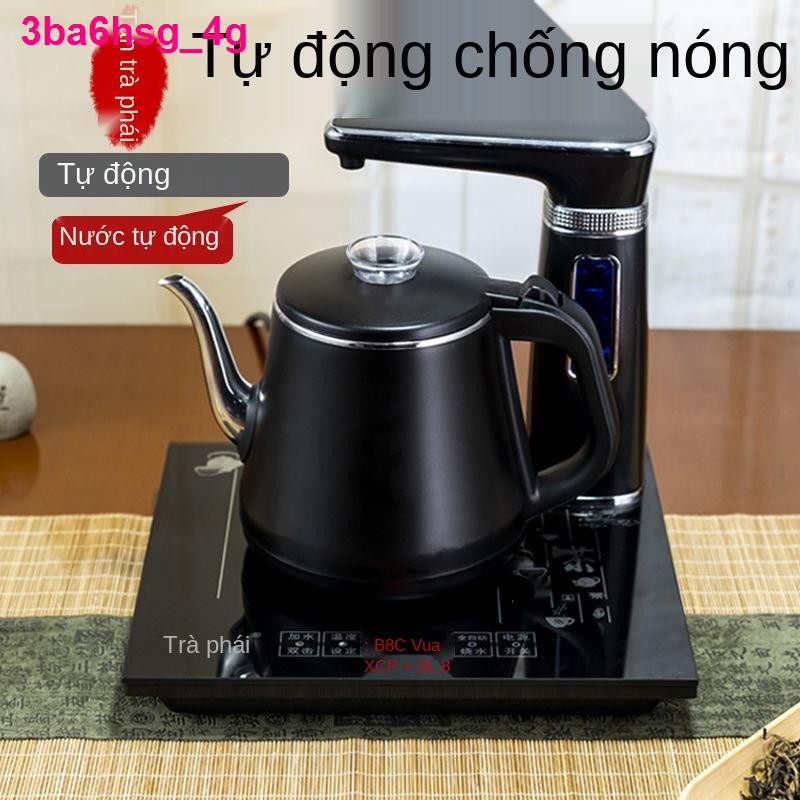 chống đóng cặn tự động Sheung Thủy điện Ấm đun nước gia dụng Bàn trà pha Bộ Bếp