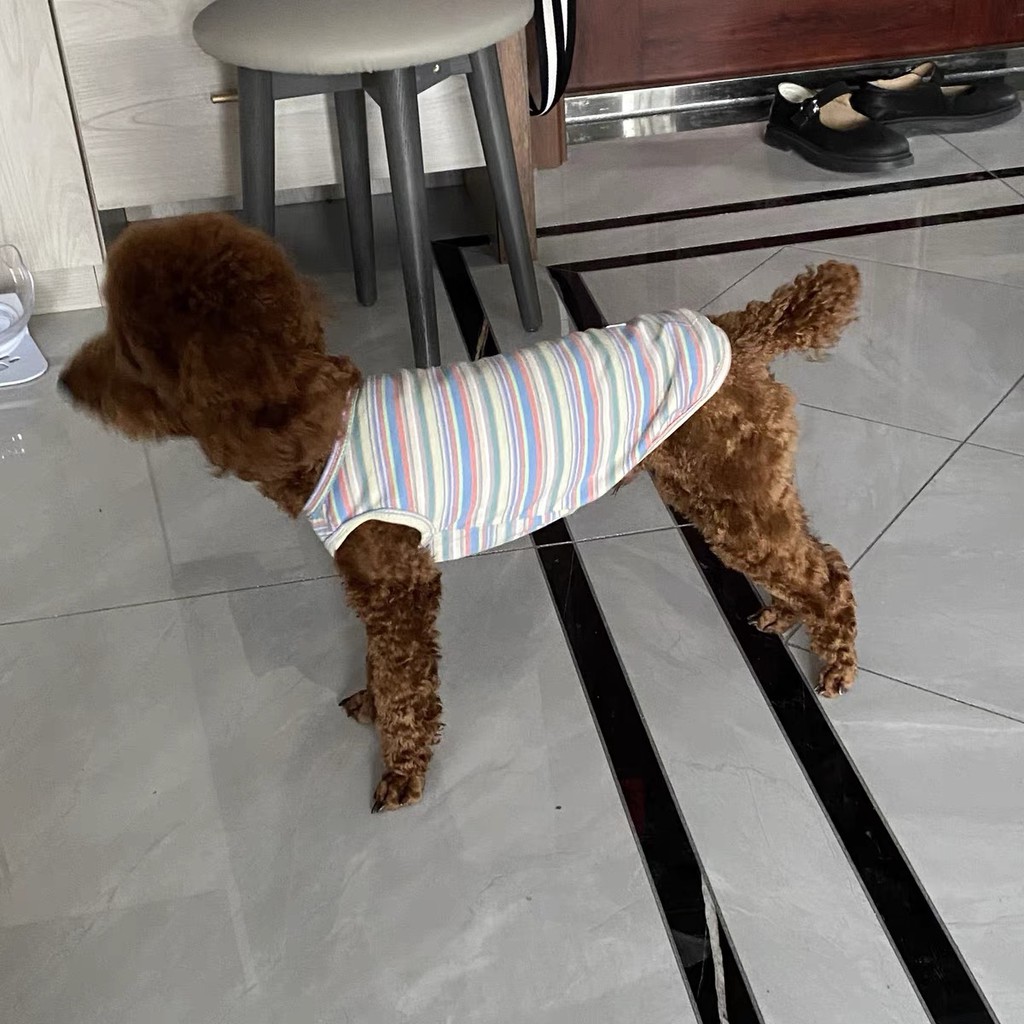 Áo Thun Ba Lỗ Chó Mèo Quần Áo Thú Cưng Mỏng Siêu Mát Giá Rẻ Hihapet.