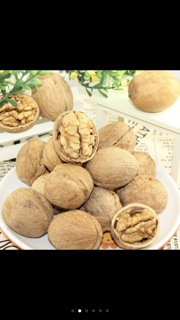 ÓC CHÓ TÂY BẮC