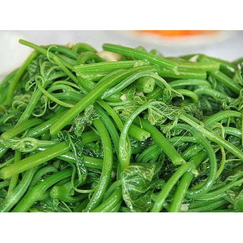 Hạt Giống Bí Siêu Ngọn Mập  - Dễ Trồng, Dinh Dưỡng, Năng Suất Cao - MUA 3 TẶNG 1 CÙNG LOẠI