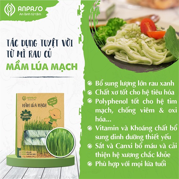 Mì ăn dặm hữu cơ cho bé mầm lúa mạch Organic Anpaso 120g