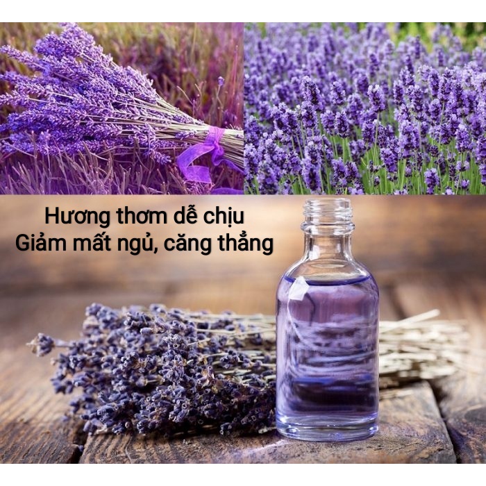 Lọ tinh dầu thơm phòng, tinh dầu thiên nhiên nguyên chất 100% oải hương, Lavender 100ml