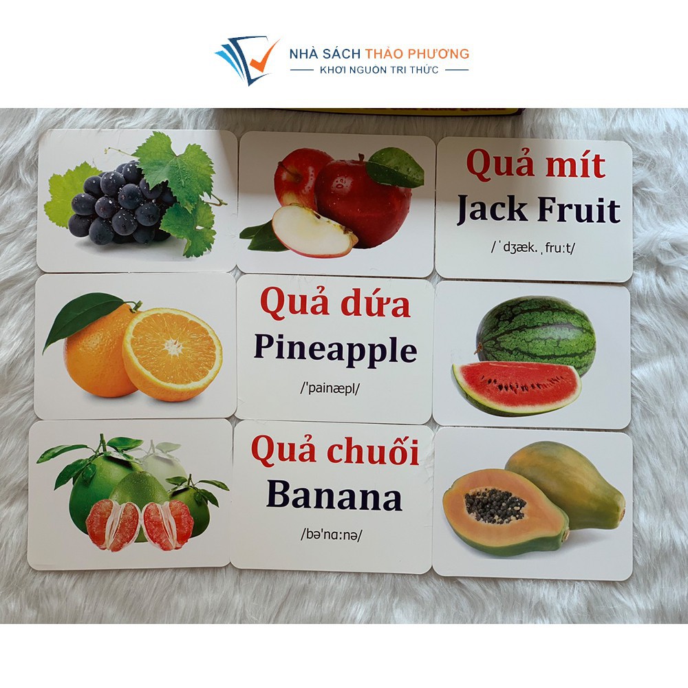 Bộ thẻ Flashcard Việt Hà song ngữ Việt Anh chủ đề Dạy trẻ về thế giới xung quanh 19 chủ đề (phương pháp Glenn Doman)