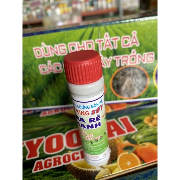 Siêu kích rễ Root Kinh lọ 20ml kích rễ giâm chiết cành