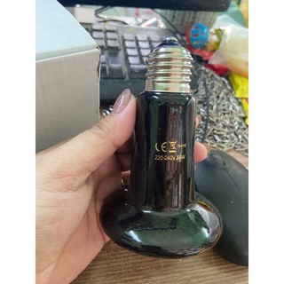 Bộ đèn sưởi sứ không phát sáng