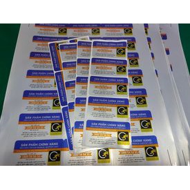 5 TEM DECAL DELL VOSTRO VÀ INSPIRON