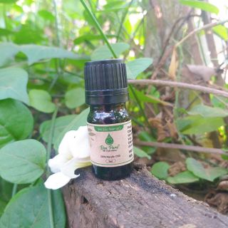 Tinh dầu Tràm Gió 10ml tới  50ml