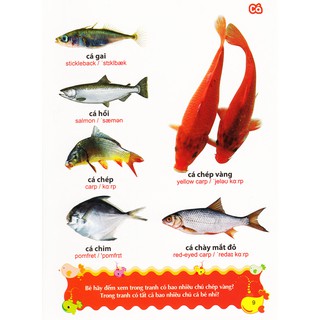 Sách: Từ Điển Tranh Về Các Con Vật - Động Vật (Bìa Cứng B100)