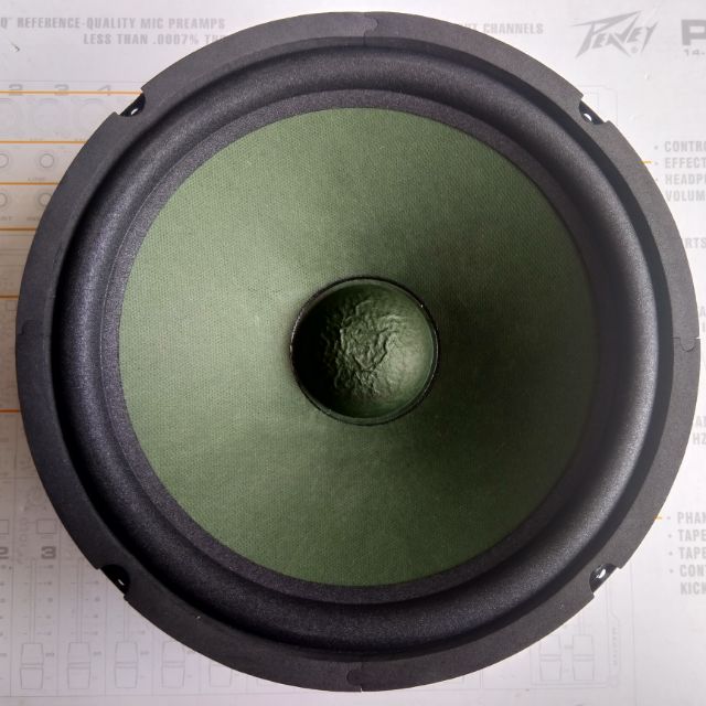 Loa bass rời 25cm màn xanh