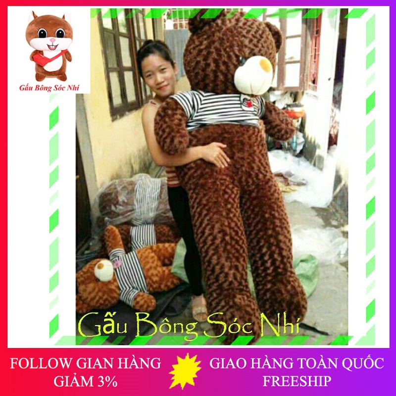 Gấu Bông Teddy Size 1m6 cao cấp siêu to khổng lồ  FREESHIP  Gấu Bông Sóc Nhí