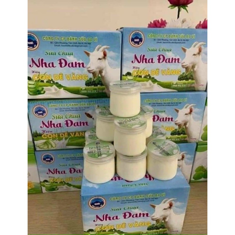 sữa chua 4 vị hiệu con dê vàng