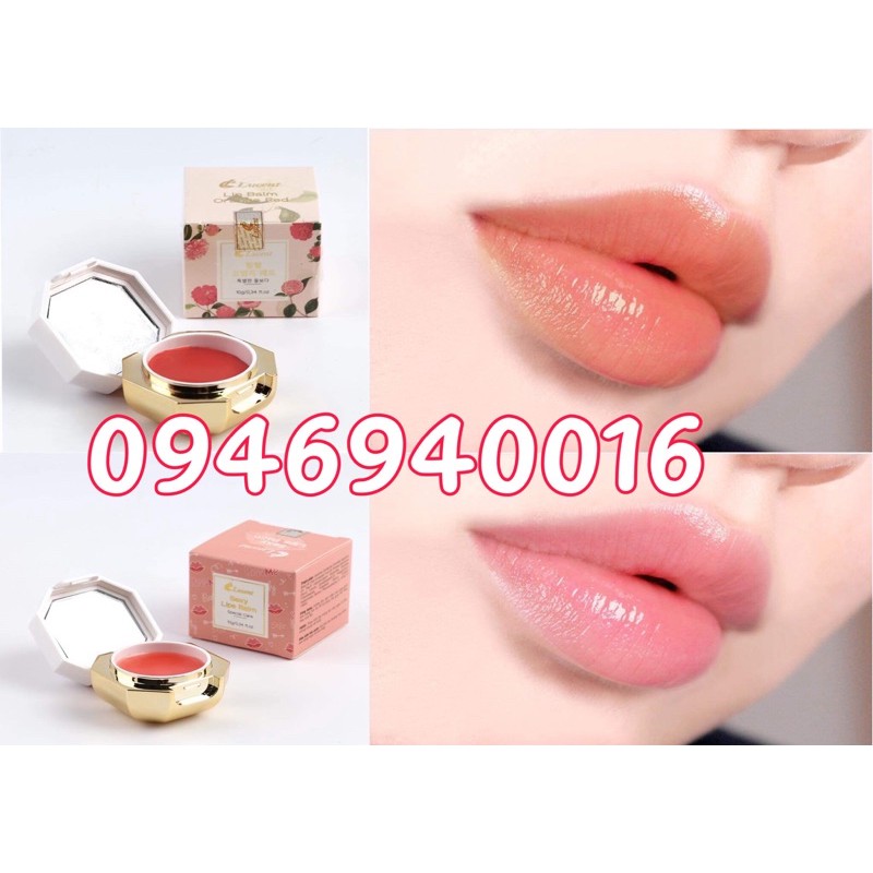 Dưỡng kích màu Lucent