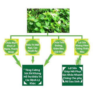 100GAM CHÈ VẰNG SẺ LỢI SỮA (CAM KẾT XANH, SẠCH, THƠM, MỚI)