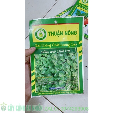 Hạt Giống Rau Càng Cua