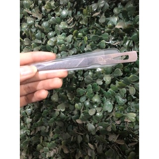 Cây lấy khoé Quyên ( dùng lấy khoé móng )