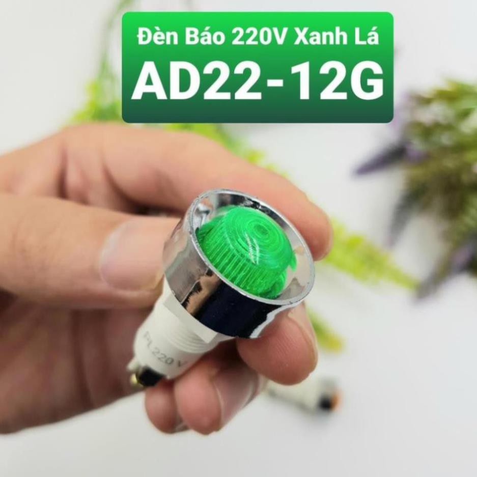 Đèn Báo Nguồn AC220V Các Màu Ren 12MM Mặt 22MM Tiện Dụng